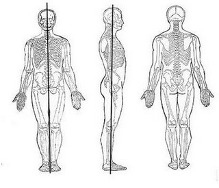 Definição de posição anatômica