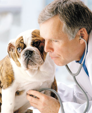 Definice veterinárního lékařství