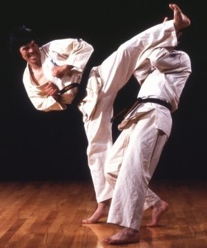 Definice karate