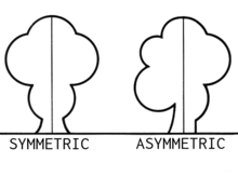 Definice asymetrie
