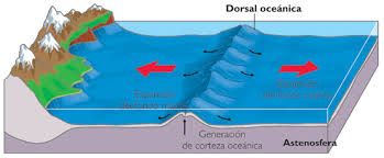 Definició de Dorsal Oceànica