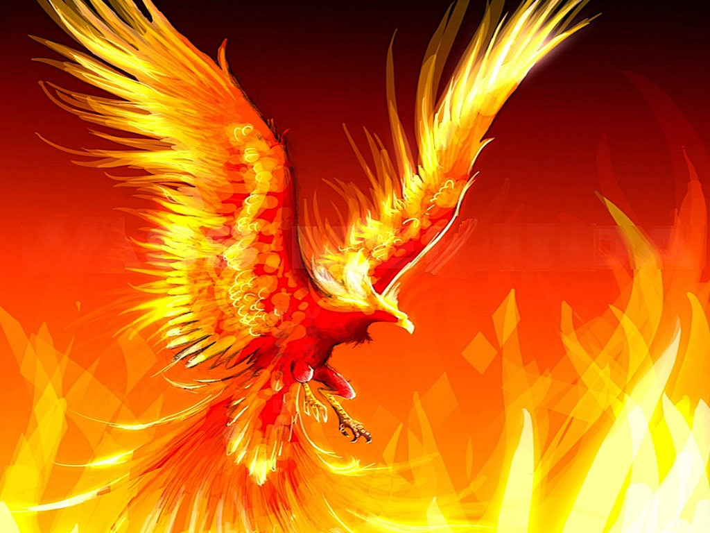 Definice Phoenix Bird