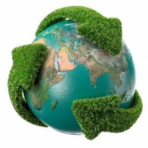 Definició de Medi Ambient