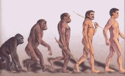 Definice Homo Sapiens